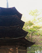 Zen Agri Teacher's Course