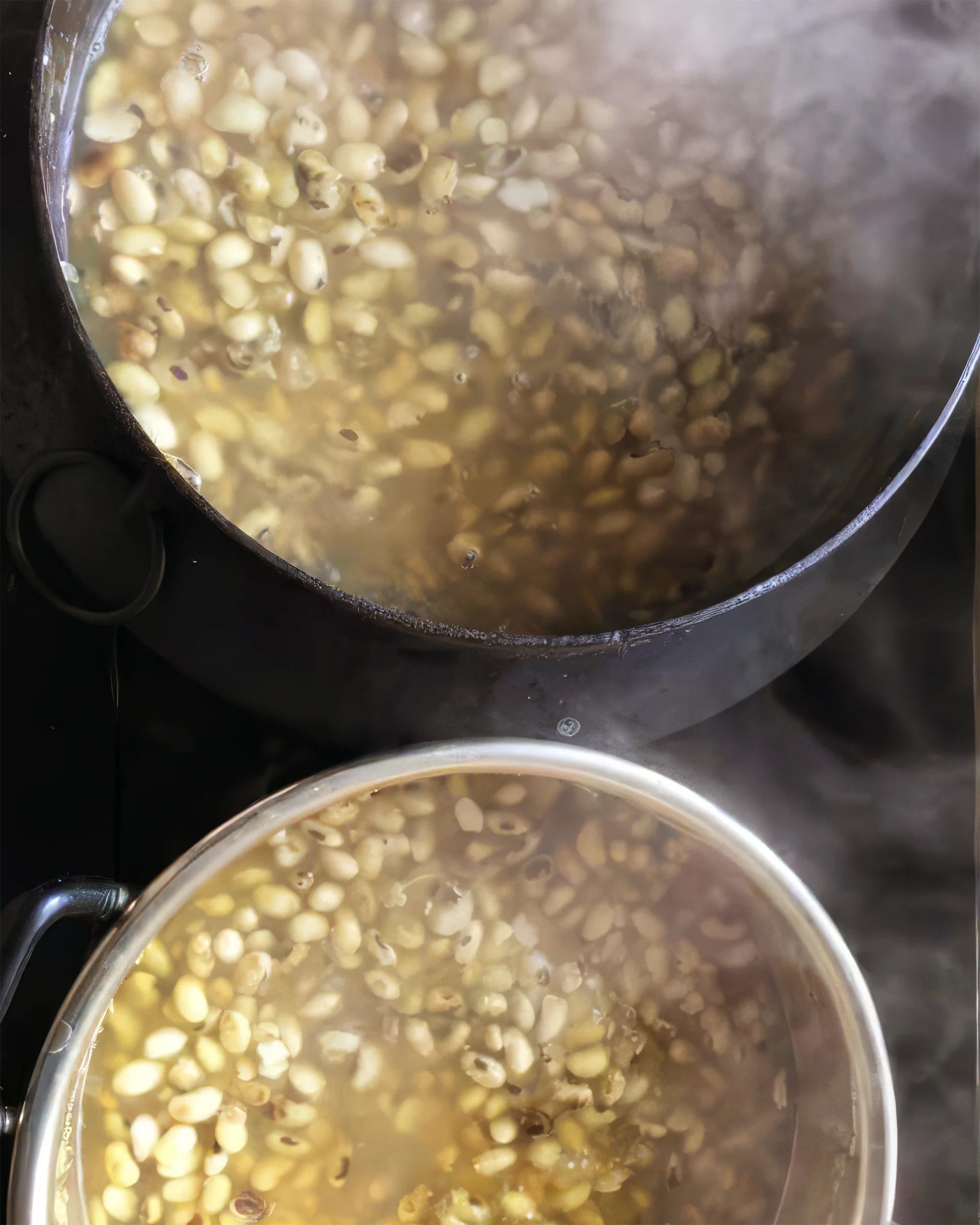 Nagano Zen Kokyū Retreat (January 2026)