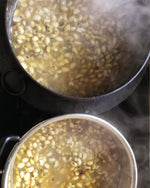 Load image into Gallery viewer, Nagano Zen Kokyū Retreat (January 2026)
